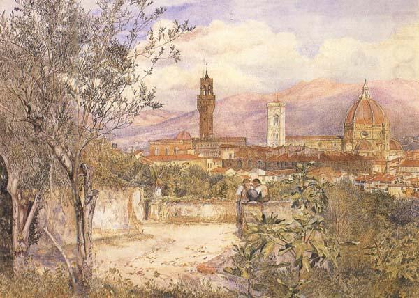 Henry Roderick Newman View of Florence,From the Gardens fo the Palazzo de'Mozzi (mk46) china oil painting image